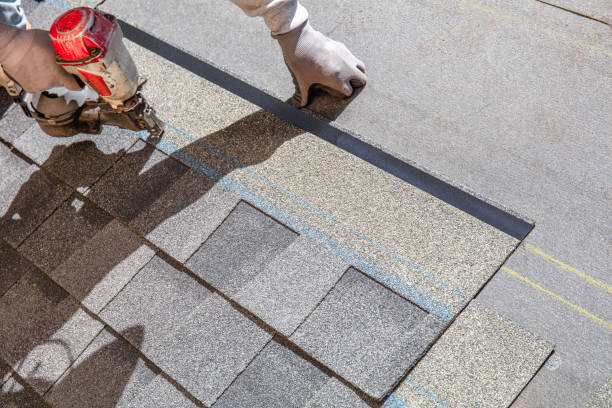 Best Roof Gutter Cleaning  in Fox Crossing, WI